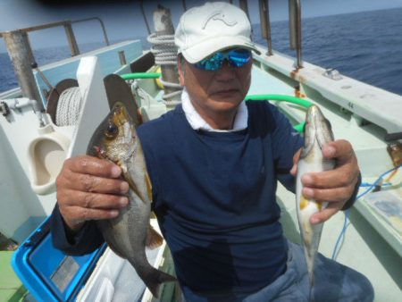 大進丸（愛知） 釣果