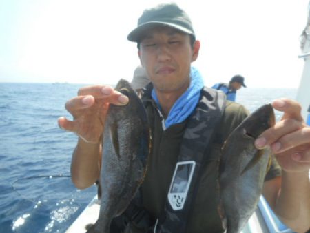 大進丸（愛知） 釣果