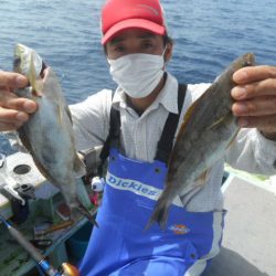 大進丸（愛知） 釣果