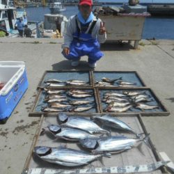 大進丸（愛知） 釣果