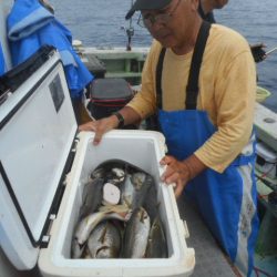 大進丸（愛知） 釣果