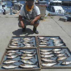 大進丸（愛知） 釣果