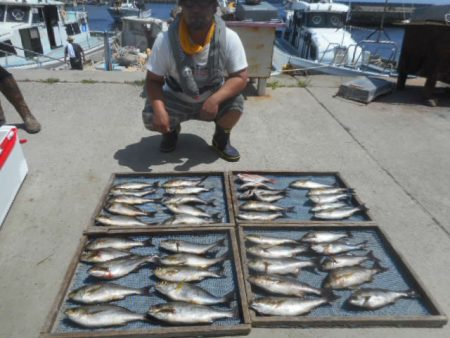 大進丸（愛知） 釣果