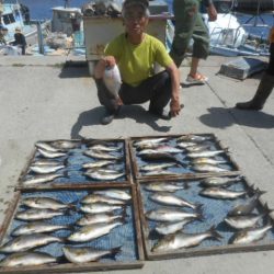 大進丸（愛知） 釣果