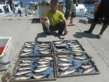 大進丸（愛知） 釣果