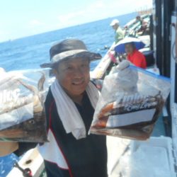 大進丸(愛知) 釣果