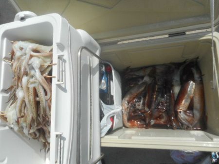 大進丸(愛知) 釣果