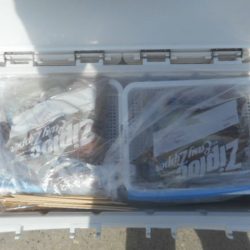 大進丸(愛知) 釣果