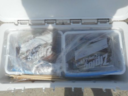 大進丸(愛知) 釣果