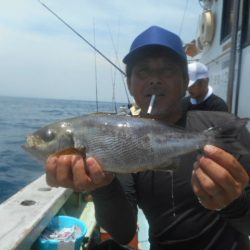 大進丸（愛知） 釣果