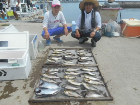 大進丸（愛知） 釣果