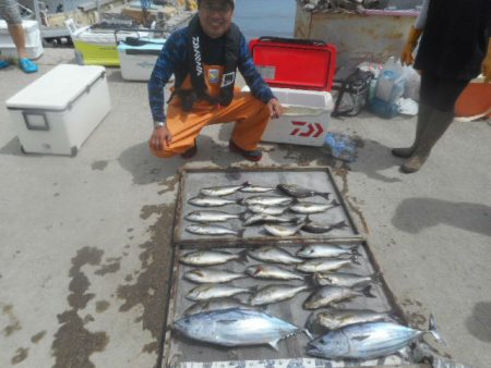 大進丸（愛知） 釣果