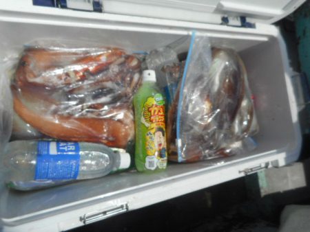 大進丸（愛知） 釣果