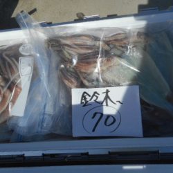 大進丸（愛知） 釣果