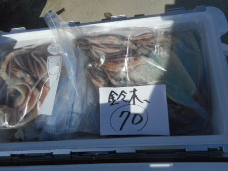 大進丸（愛知） 釣果