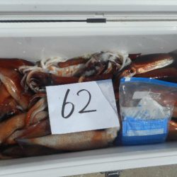 大進丸（愛知） 釣果