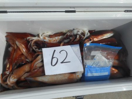 大進丸（愛知） 釣果