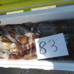 大進丸（愛知） 釣果