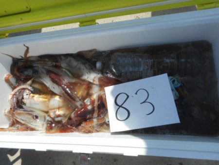 大進丸（愛知） 釣果