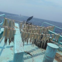 大進丸（愛知） 釣果