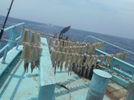 大進丸（愛知） 釣果