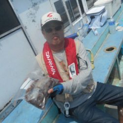 大進丸（愛知） 釣果