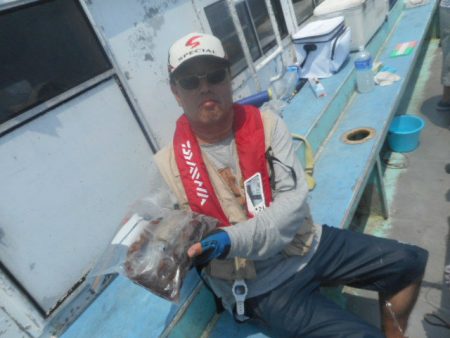 大進丸（愛知） 釣果