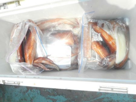 大進丸（愛知） 釣果