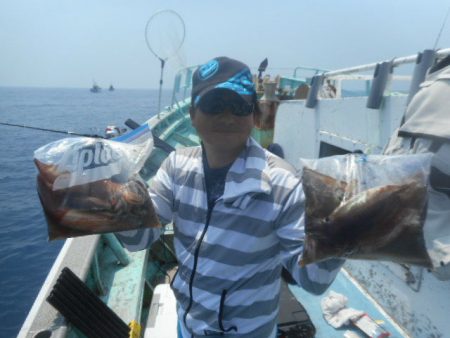 大進丸（愛知） 釣果