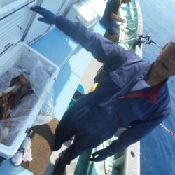 大進丸（愛知） 釣果