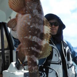 Fisherman Dreams DI 釣果