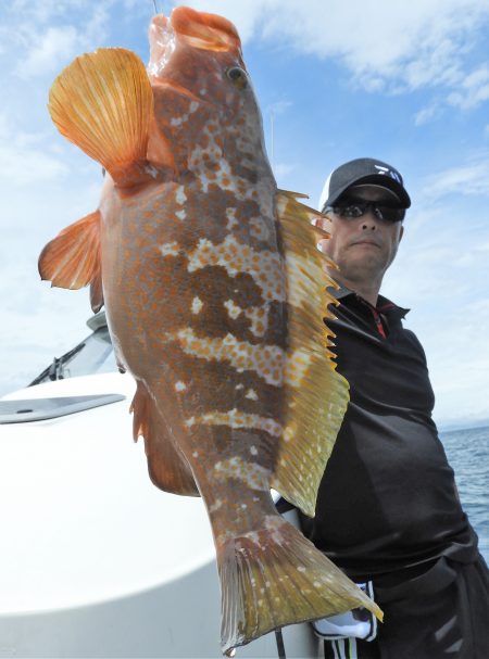 Fisherman Dreams DI 釣果