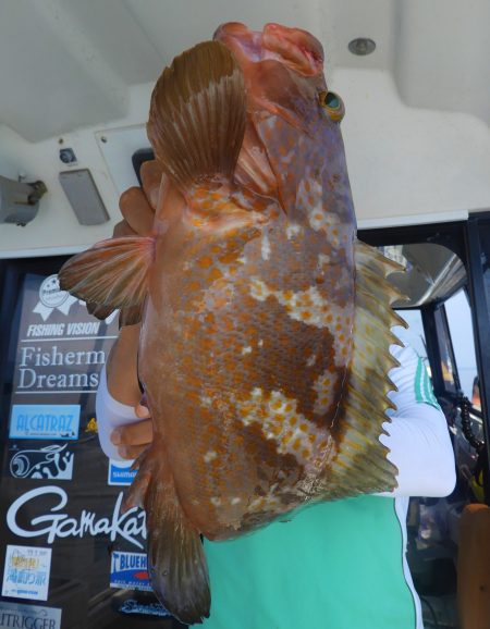 Fisherman Dreams DI 釣…