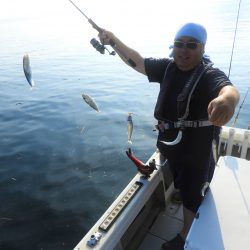 Fisherman Dreams DI 釣果