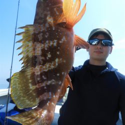 Fisherman Dreams DI 釣果