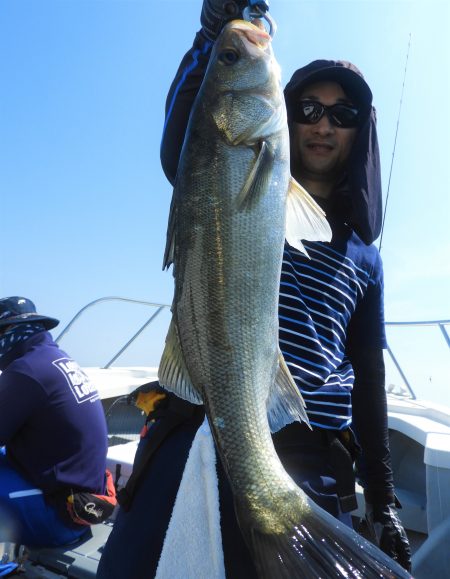 Fisherman Dreams DI 釣果