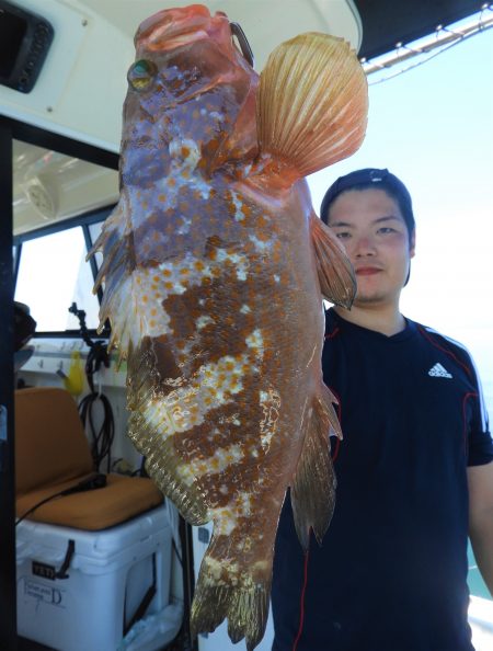 Fisherman Dreams DI 釣果