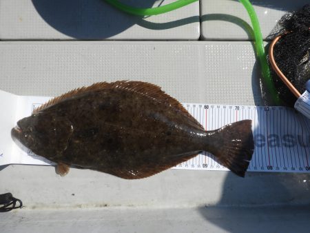 Fisherman Dreams DI 釣果