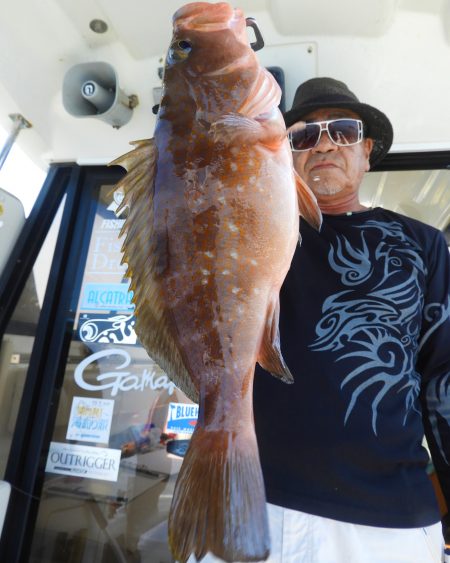 Fisherman Dreams DI 釣果