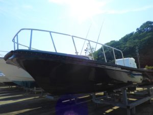 Fisherman Dreams DI 釣果