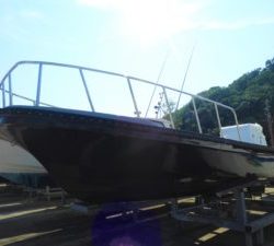 Fisherman Dreams DI 釣果