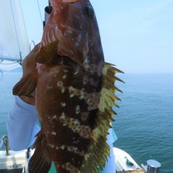 Fisherman Dreams DI 釣果