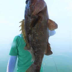 Fisherman Dreams DI 釣果