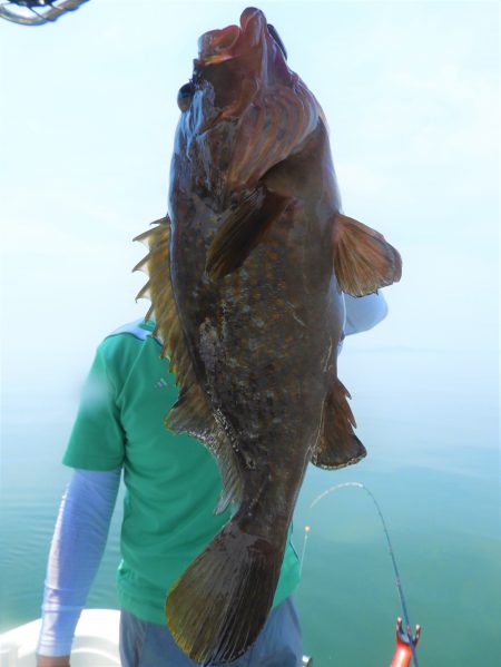 Fisherman Dreams DI 釣果