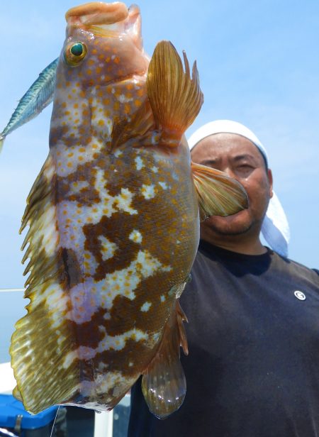 Fisherman Dreams DI 釣果