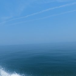 Fisherman Dreams DI 釣果