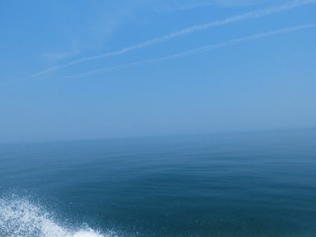 Fisherman Dreams DI 釣果