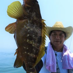 Fisherman Dreams DI 釣果