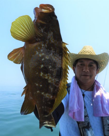 Fisherman Dreams DI 釣果