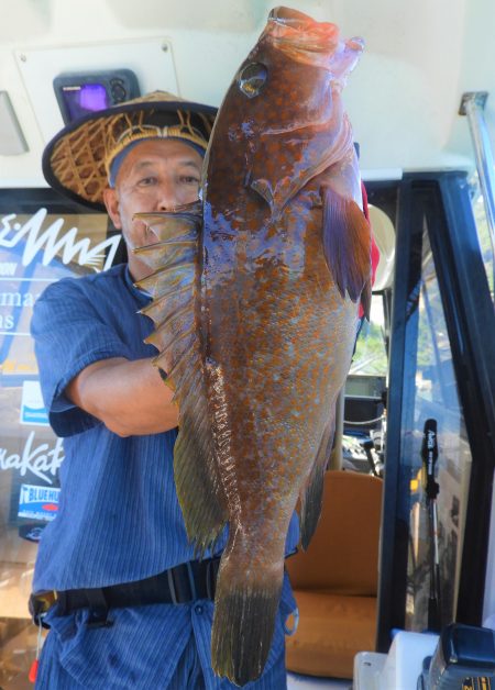 Fisherman Dreams DI 釣果